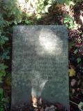 image number 4